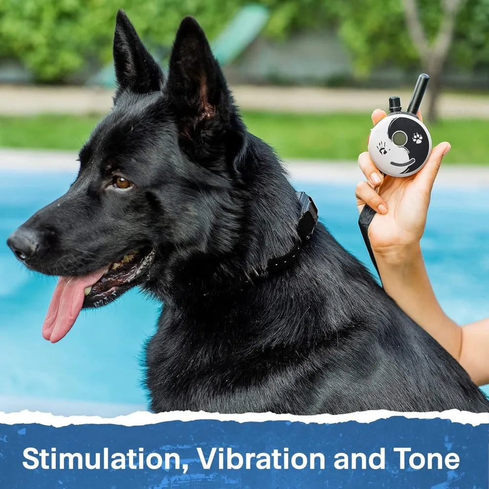 1/2 Mile Dog Training Collar with Remote for Two Dogs
