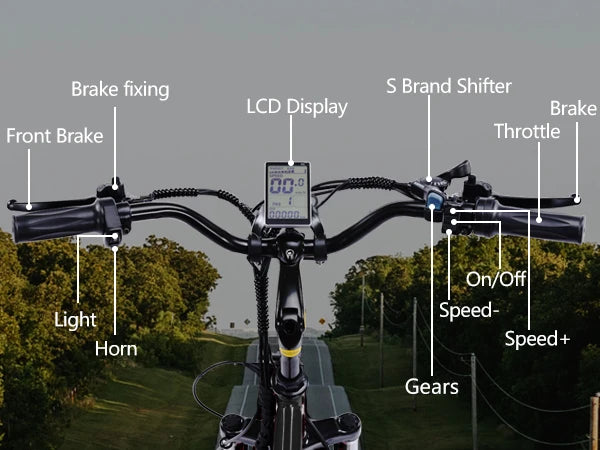 Electric Tricycle for Adults