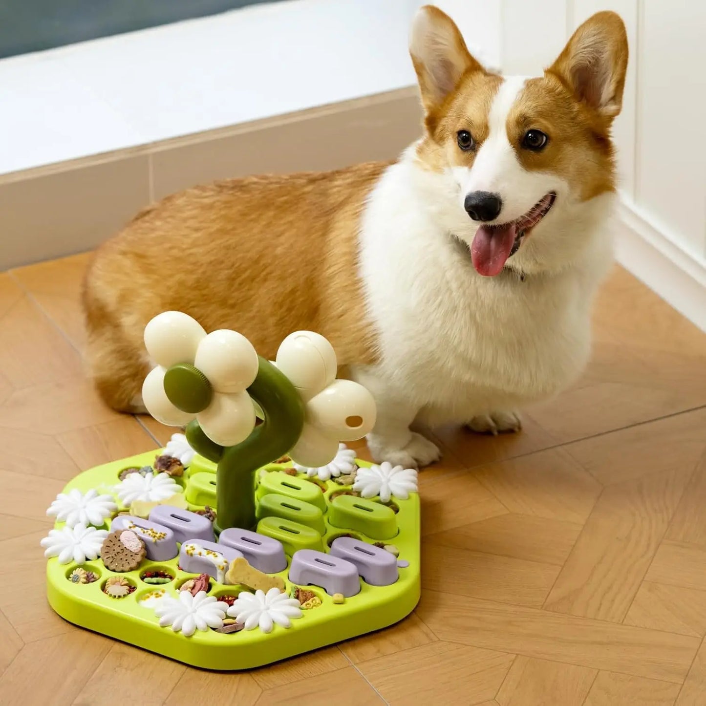 IQ Training Dog Slow Feeder