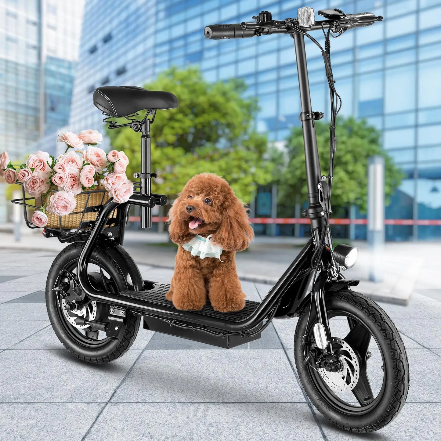 Electric Scooter 500W Motor with Seat