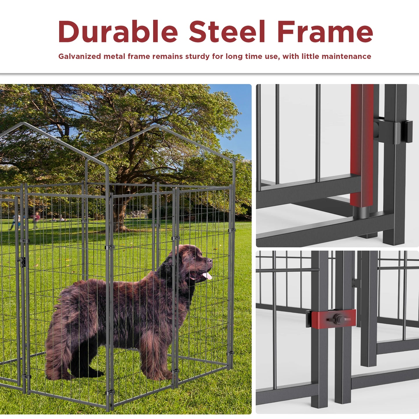 Large Dog Kennel