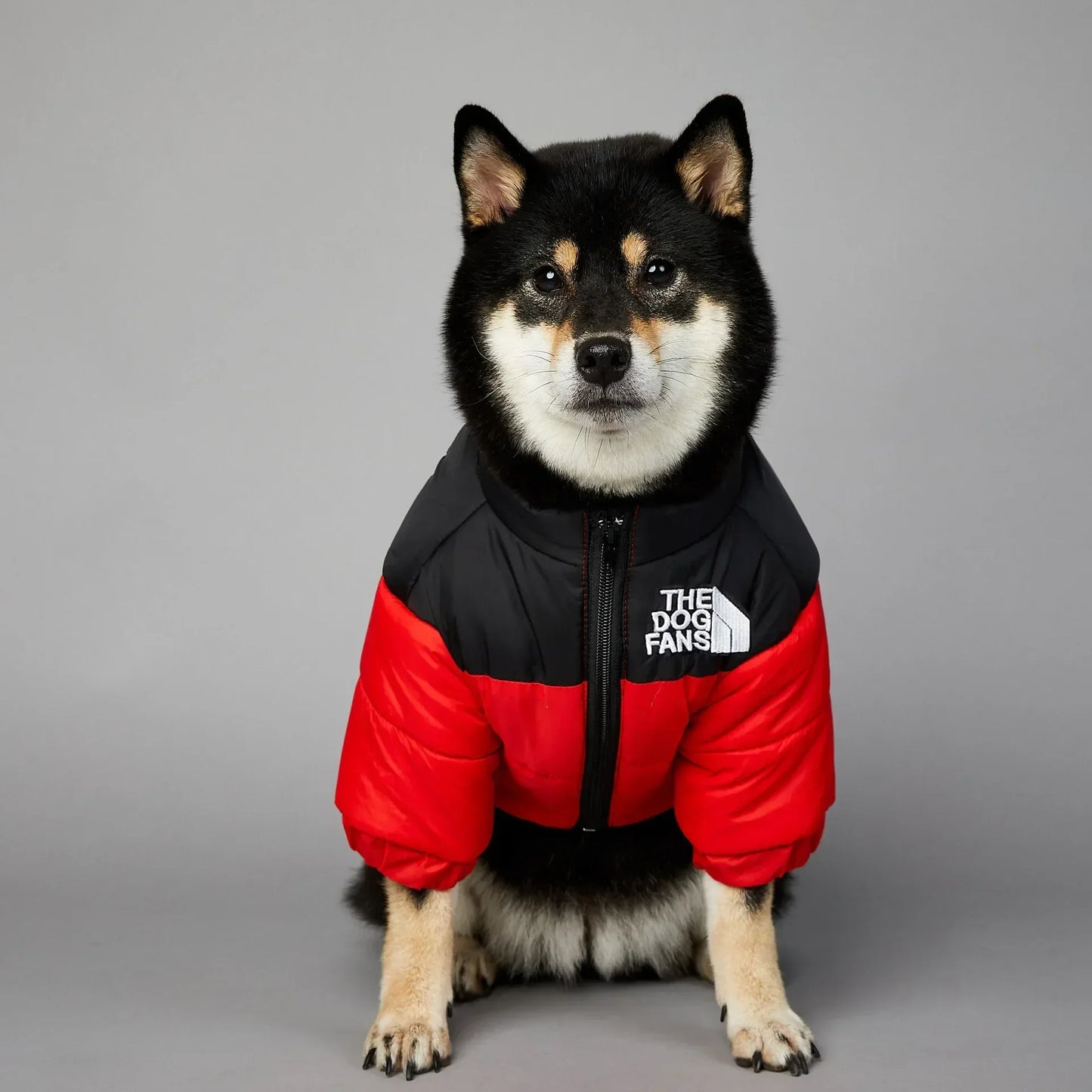 Dog Down Jacket