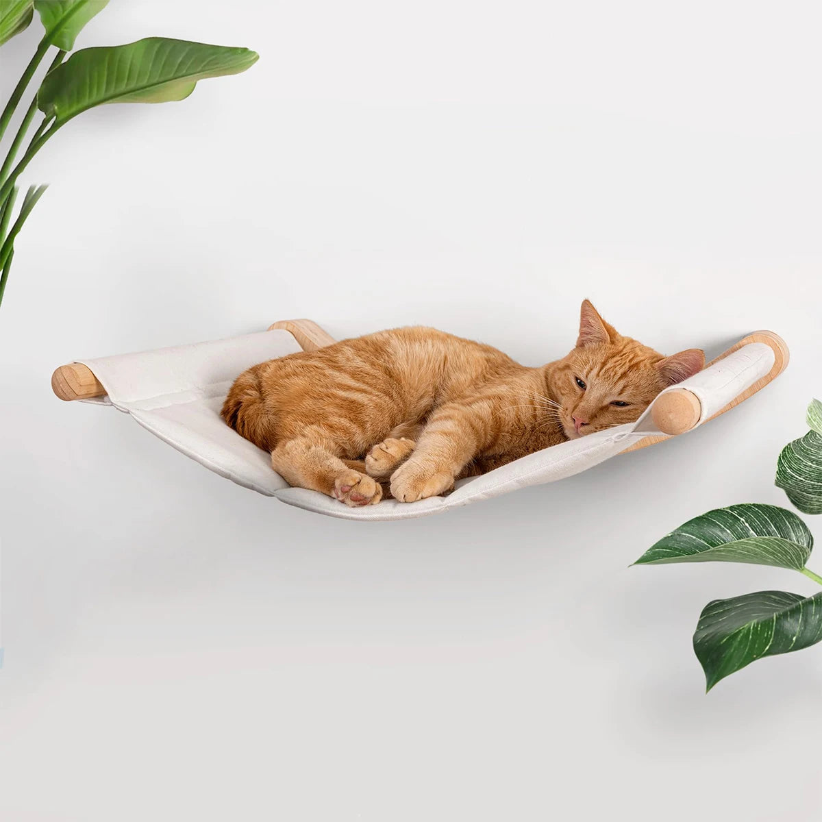 Cat Wall Furniture