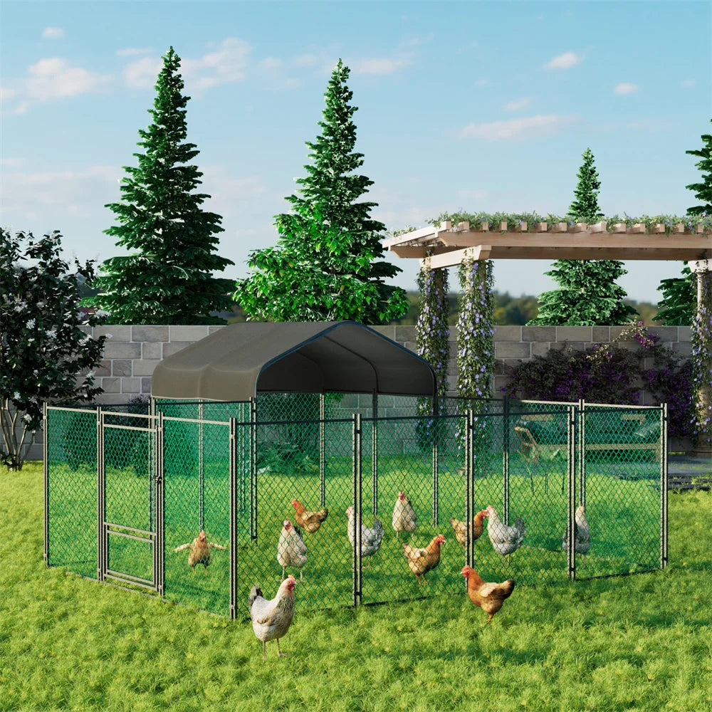 Chicken Run Coop