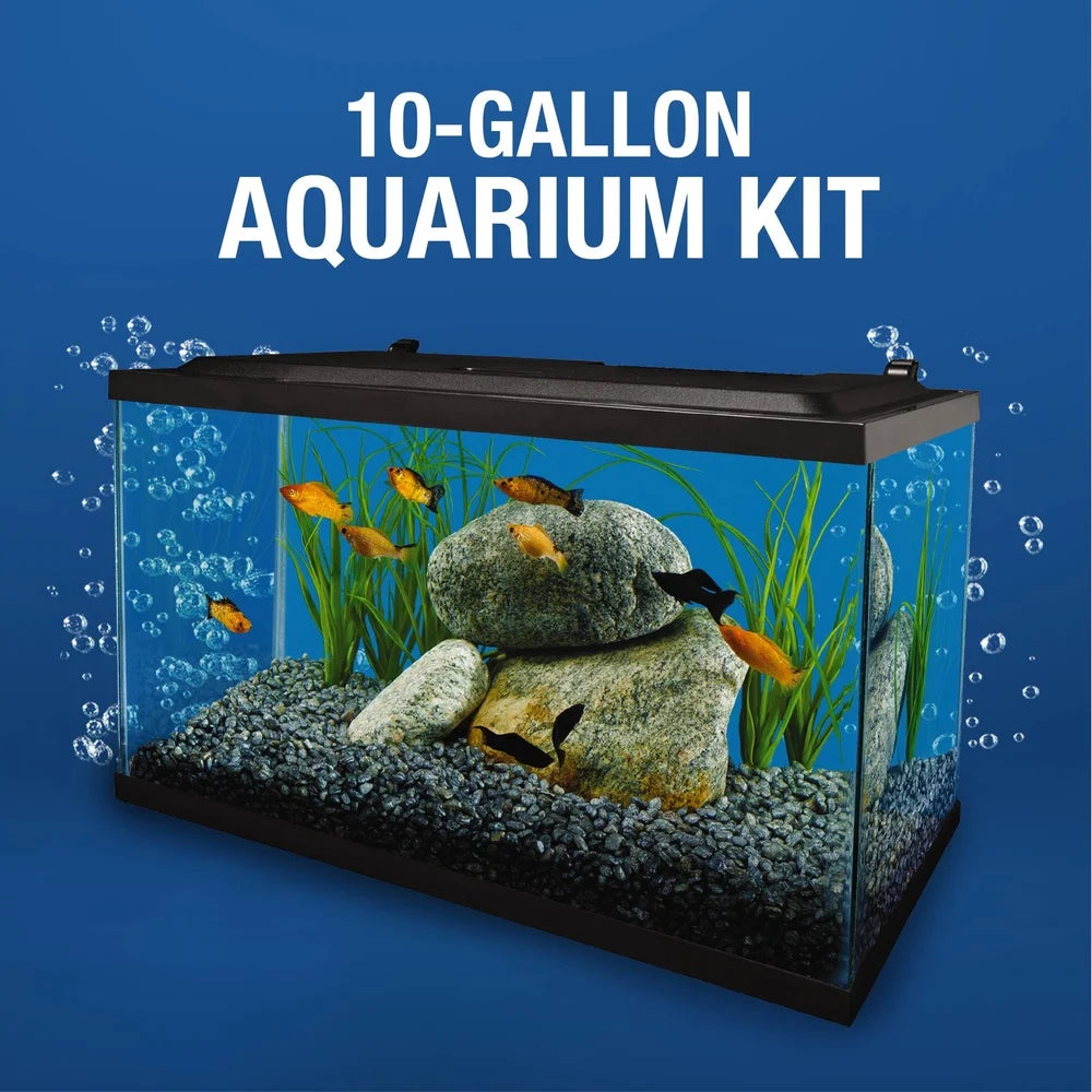 10 Gallon Glass Aquarium Kit