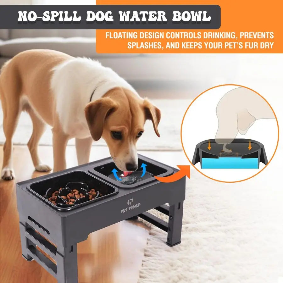 Dog Bowl Stand with 4 Adjustable Height, Slow Feeder