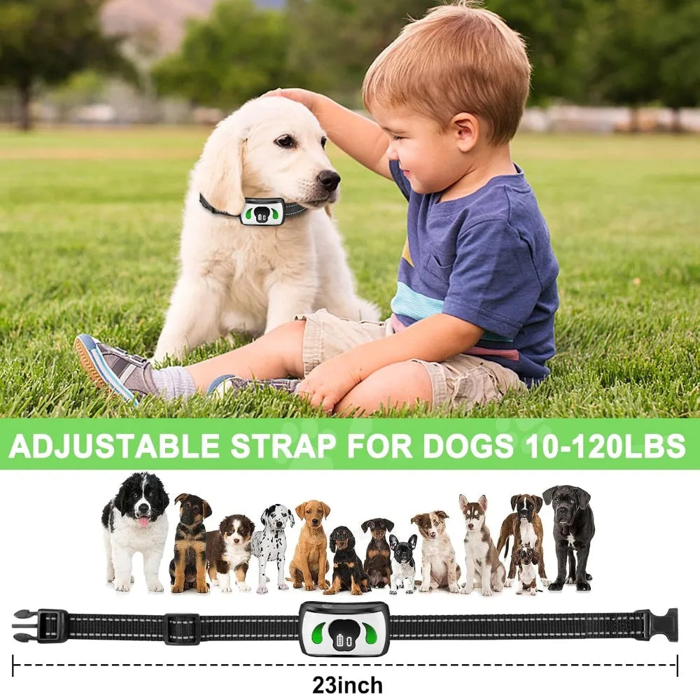 Dog Training Collar with Mini Remote
