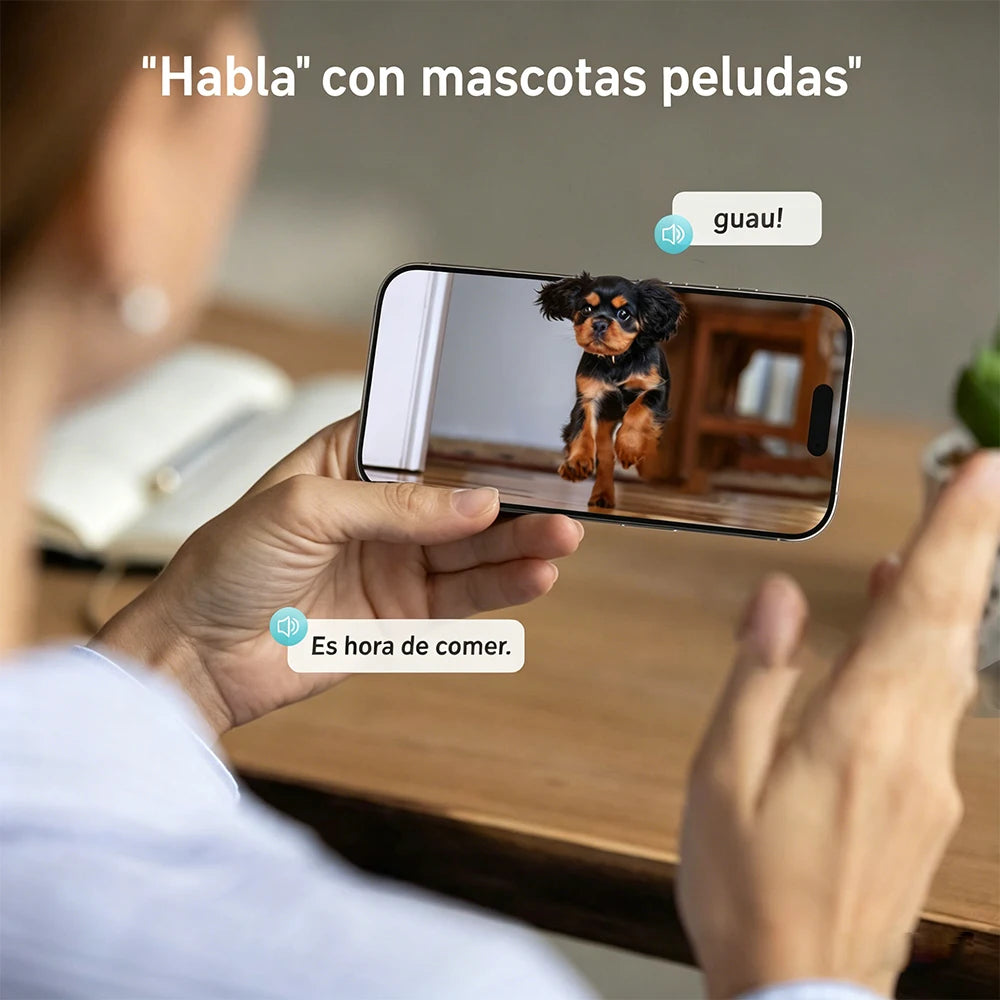 Automatic Pet Feeder