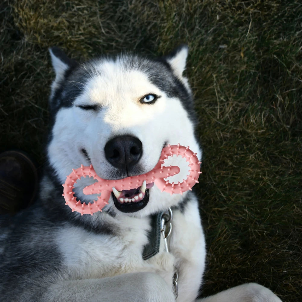 Dog Toys for Cleaning Teeth