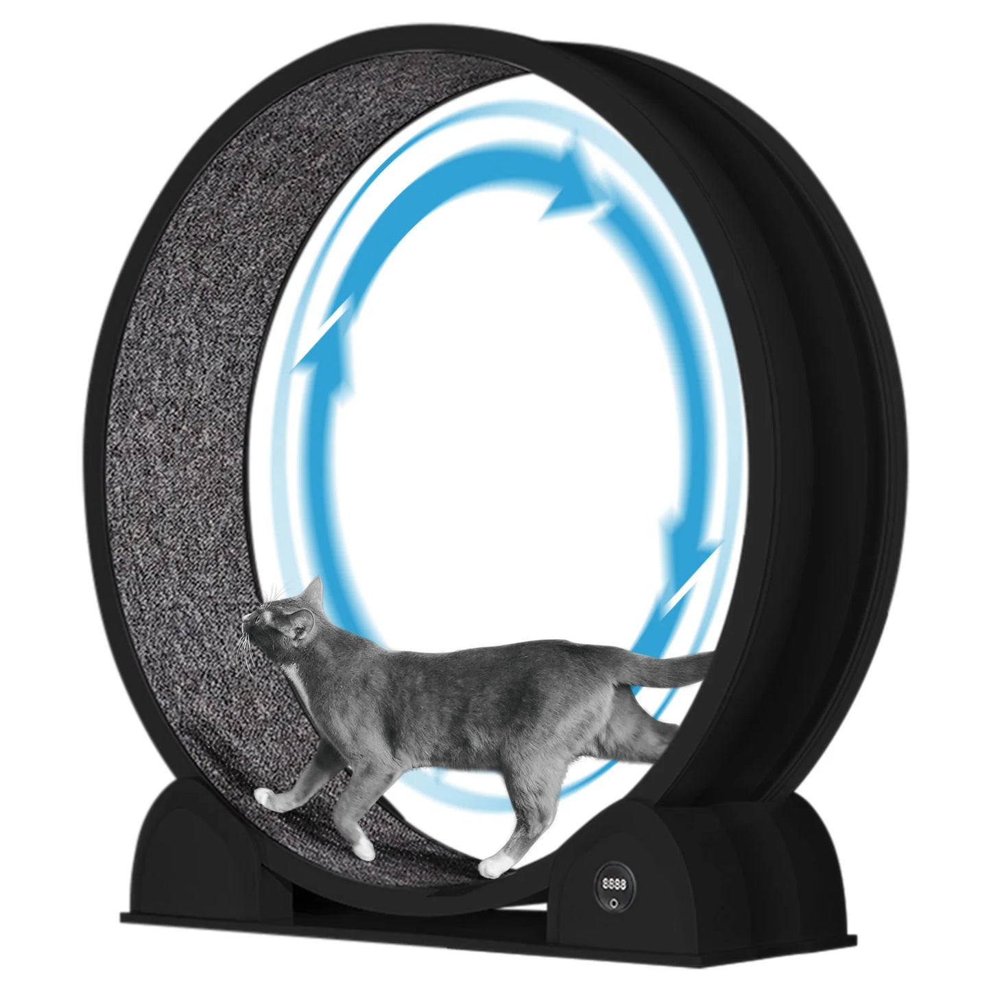 Cat Exercise Wheel