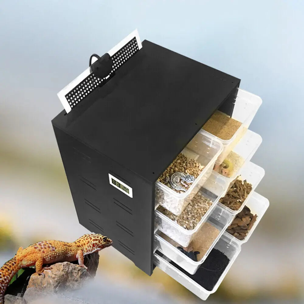 Reptile Breeding Tank