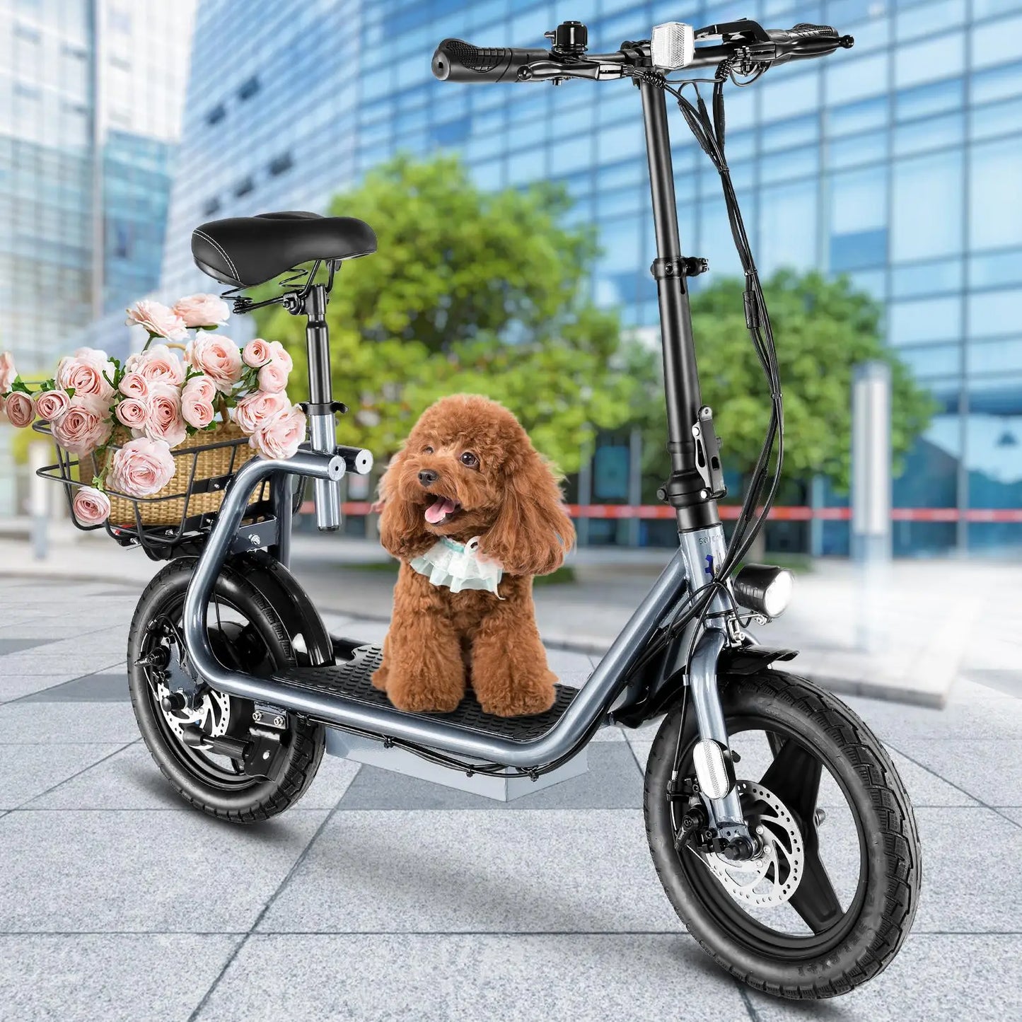 Electric Scooter 500W Motor with Seat