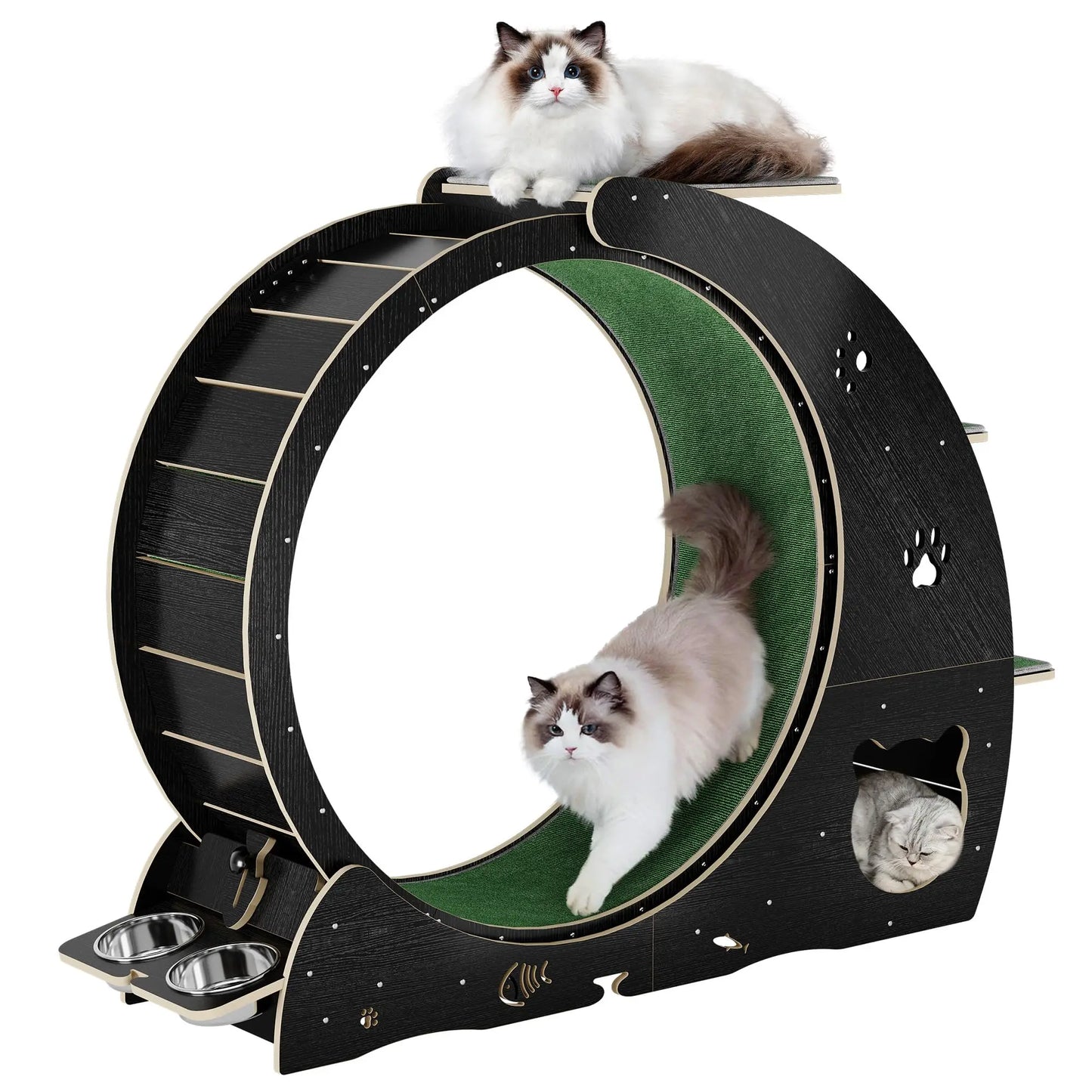 Cat Exercise Wheel
