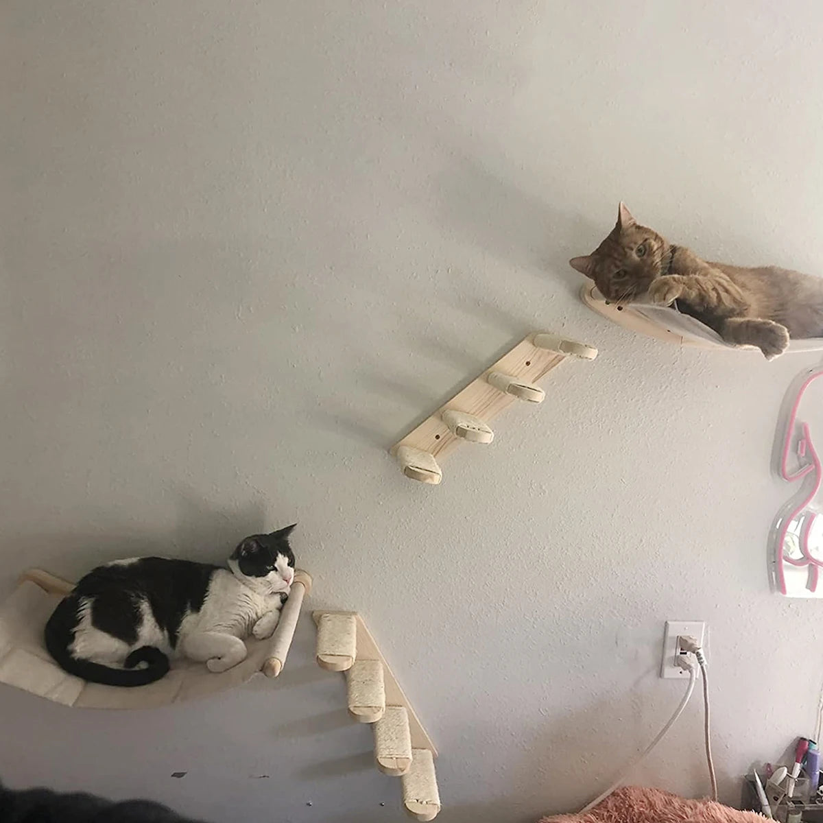 Cat Wall Furniture