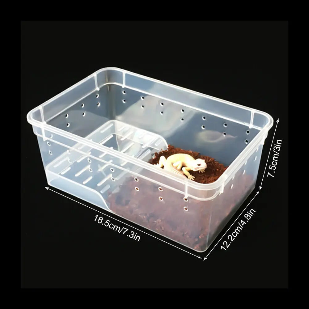 Reptile Breeding Tank
