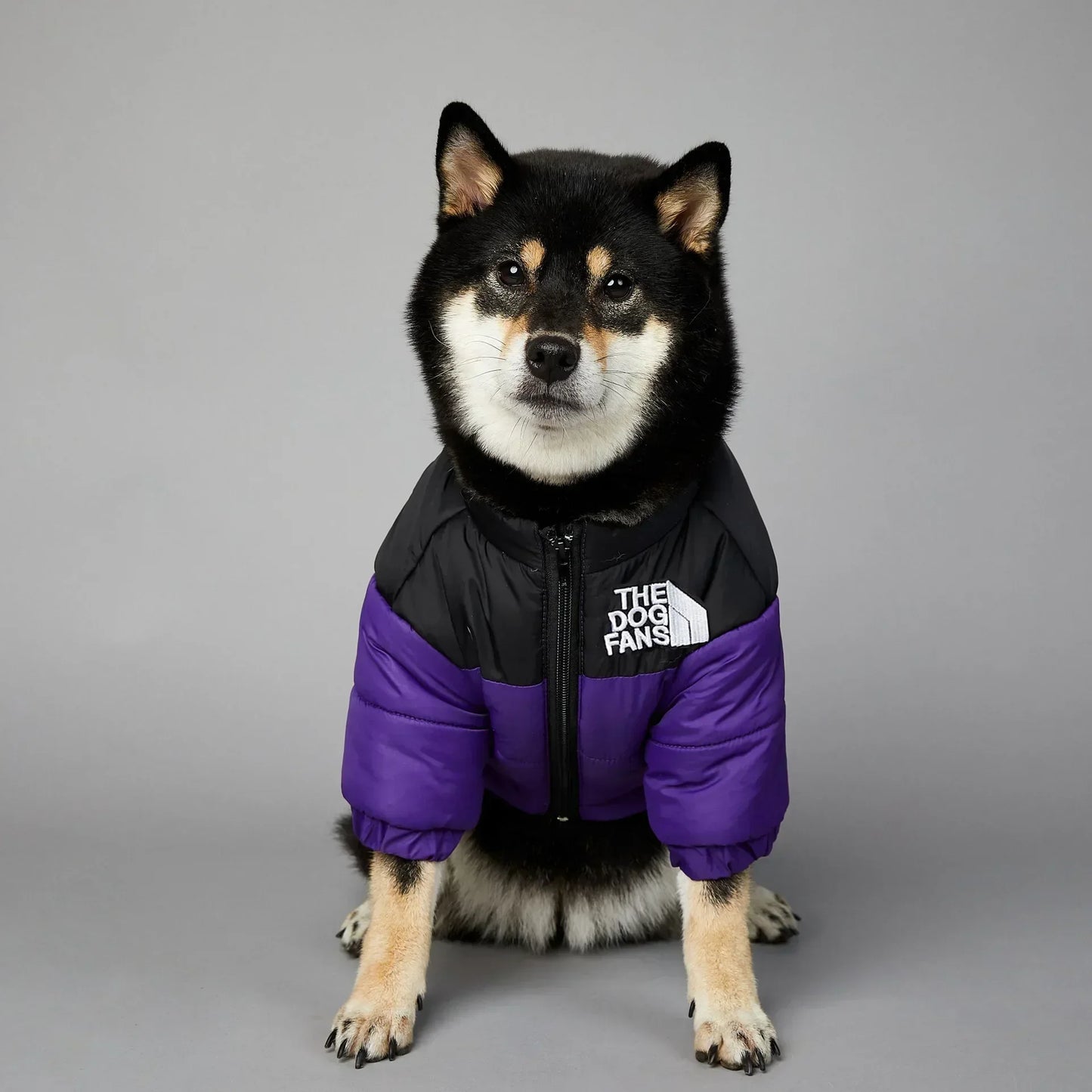 Dog Down Jacket