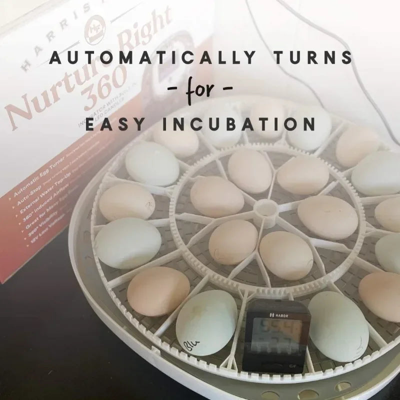 Egg Incubator - Holds 22 Eggs - Automatic Egg Turner