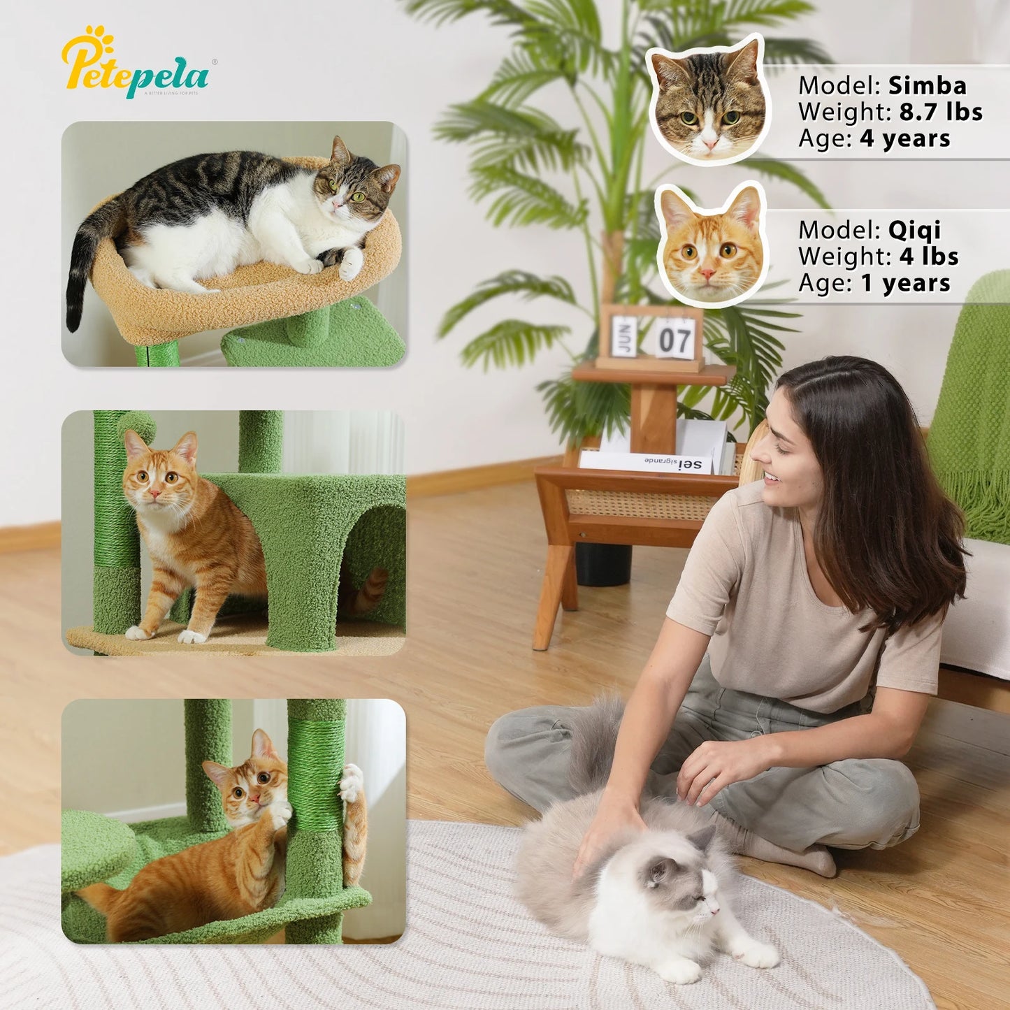 5-Level Cat Tower