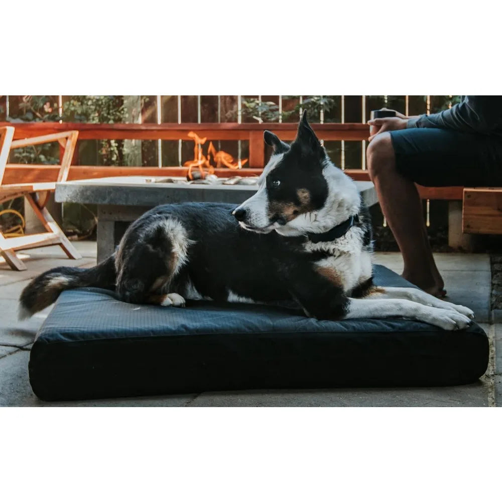 Orthopedic Rectangle Dog Bed