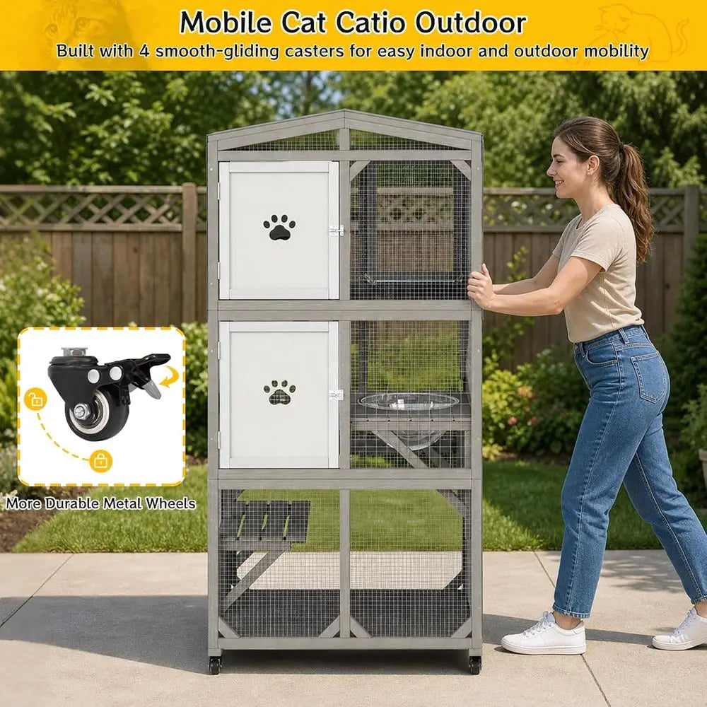 Outdoor Cat Enclosure