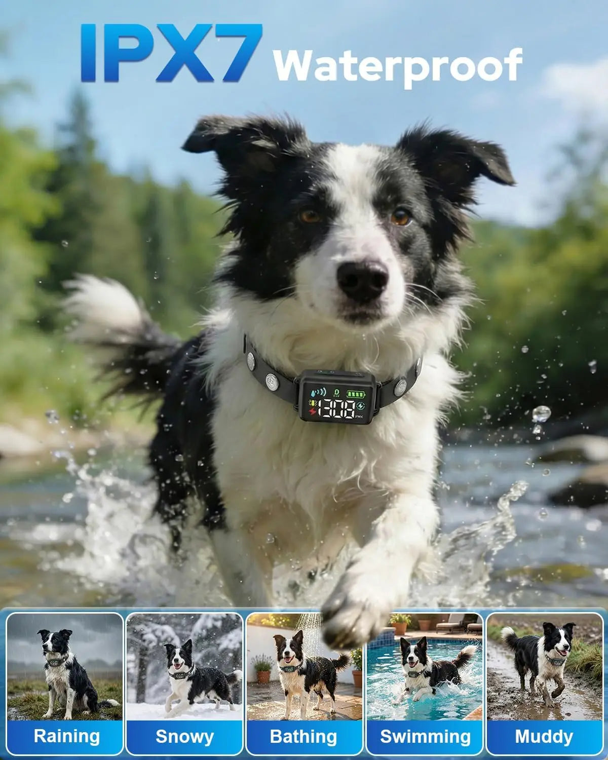 GPS Wireless Dog Fence