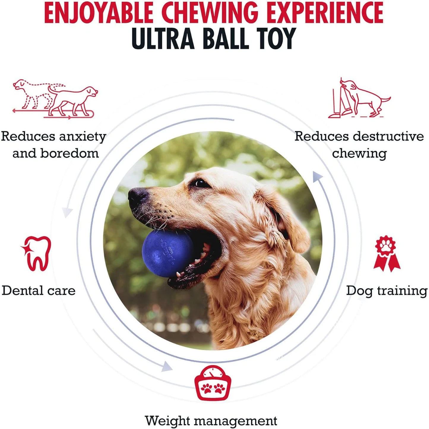 Super Chewy Dog Ball