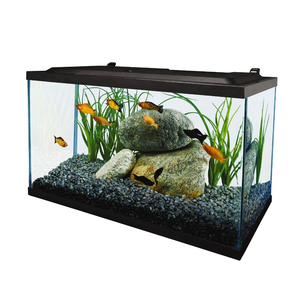 10 Gallon Glass Aquarium Kit