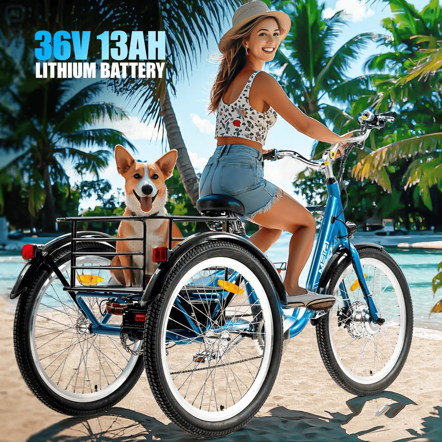 Electric Cargo Tricycle for Adult