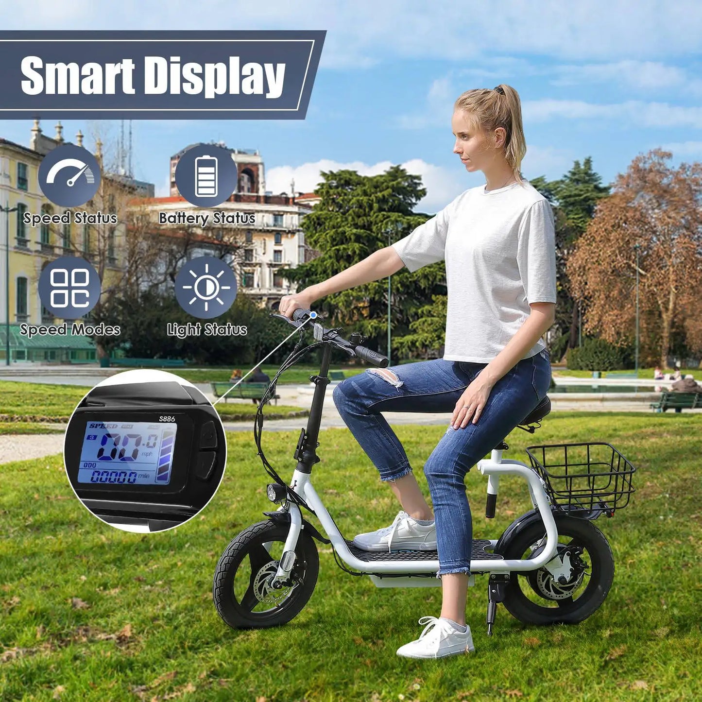 Electric Scooter 500W Motor with Seat
