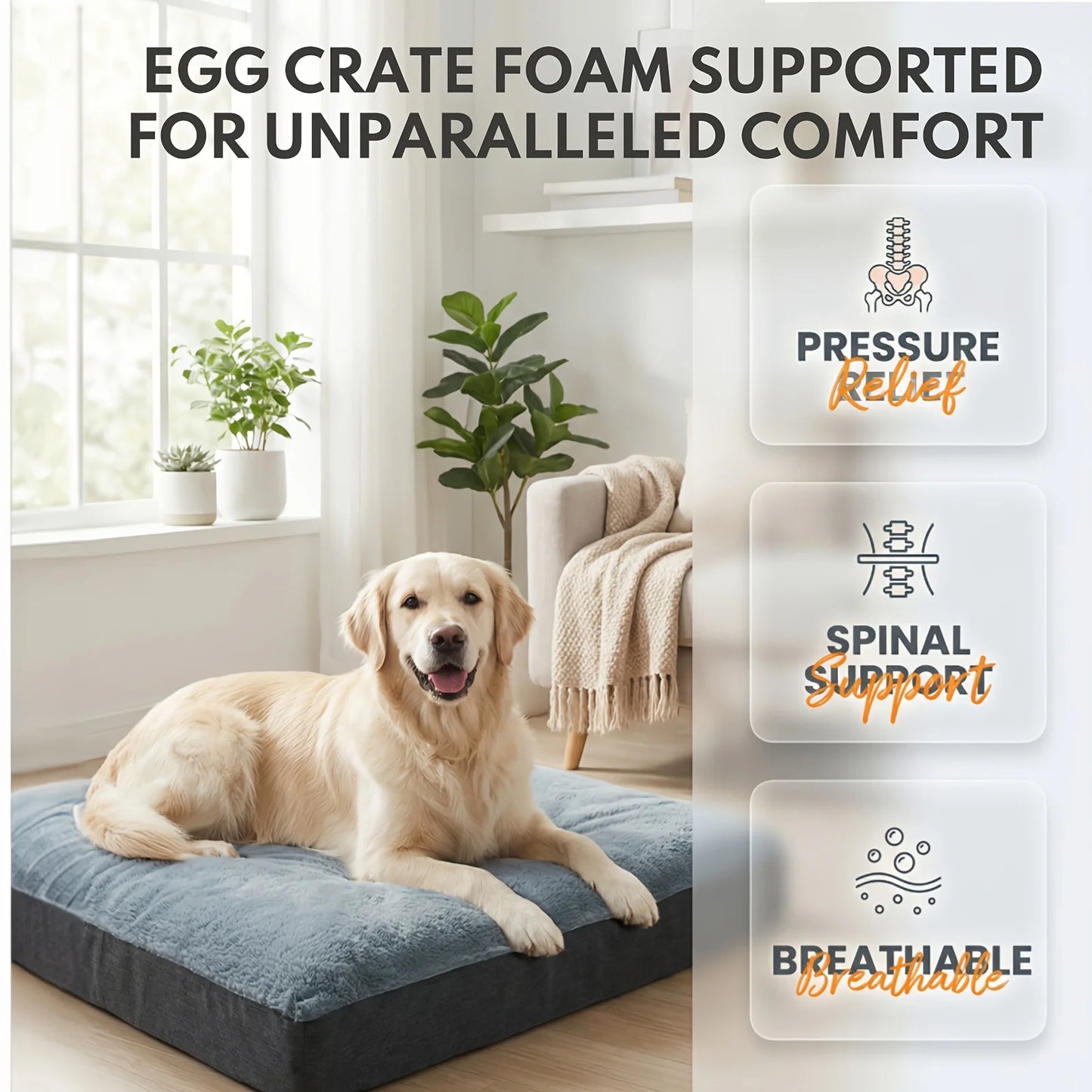 Orthopedic Dog Bed for Large Dogs