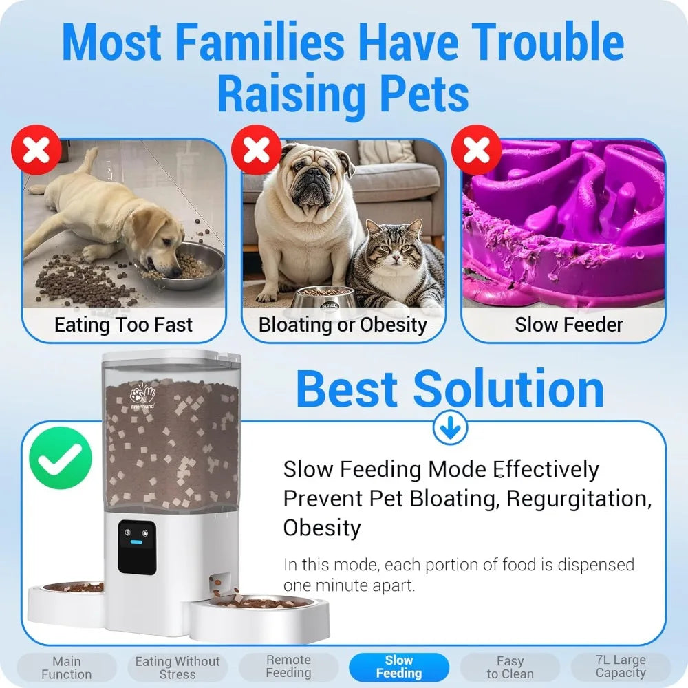 Automatic Cat Feeder with Slow Feed for 2 Cats