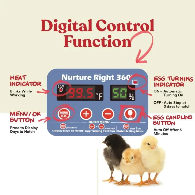 Egg Incubator for Hatching Chicks