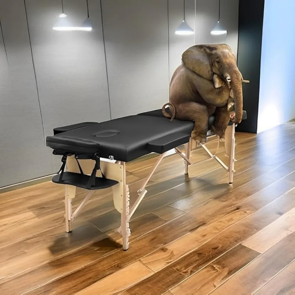 Foldable Physical Therapy Table