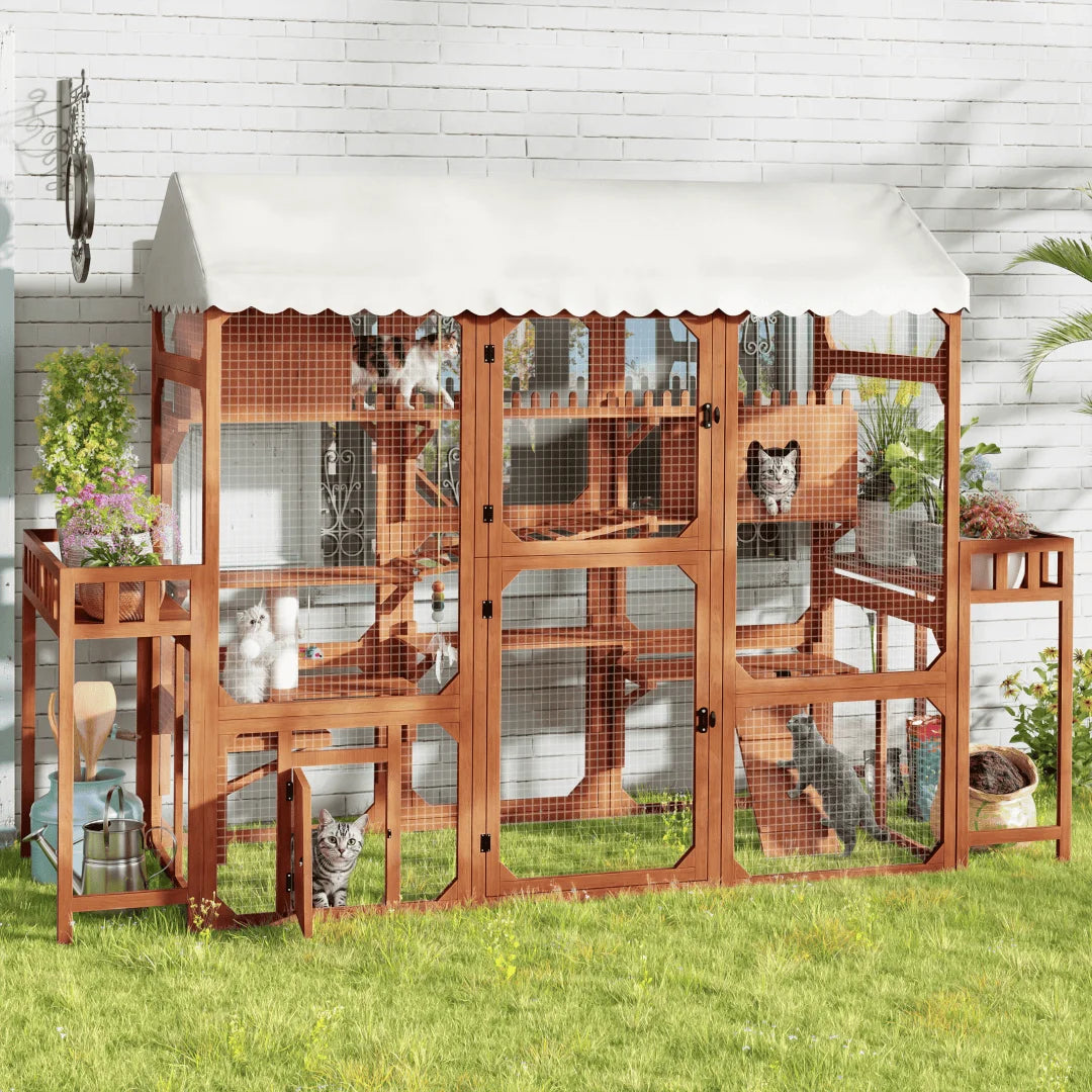 Large Outdoor Cat Enclosure Wooden