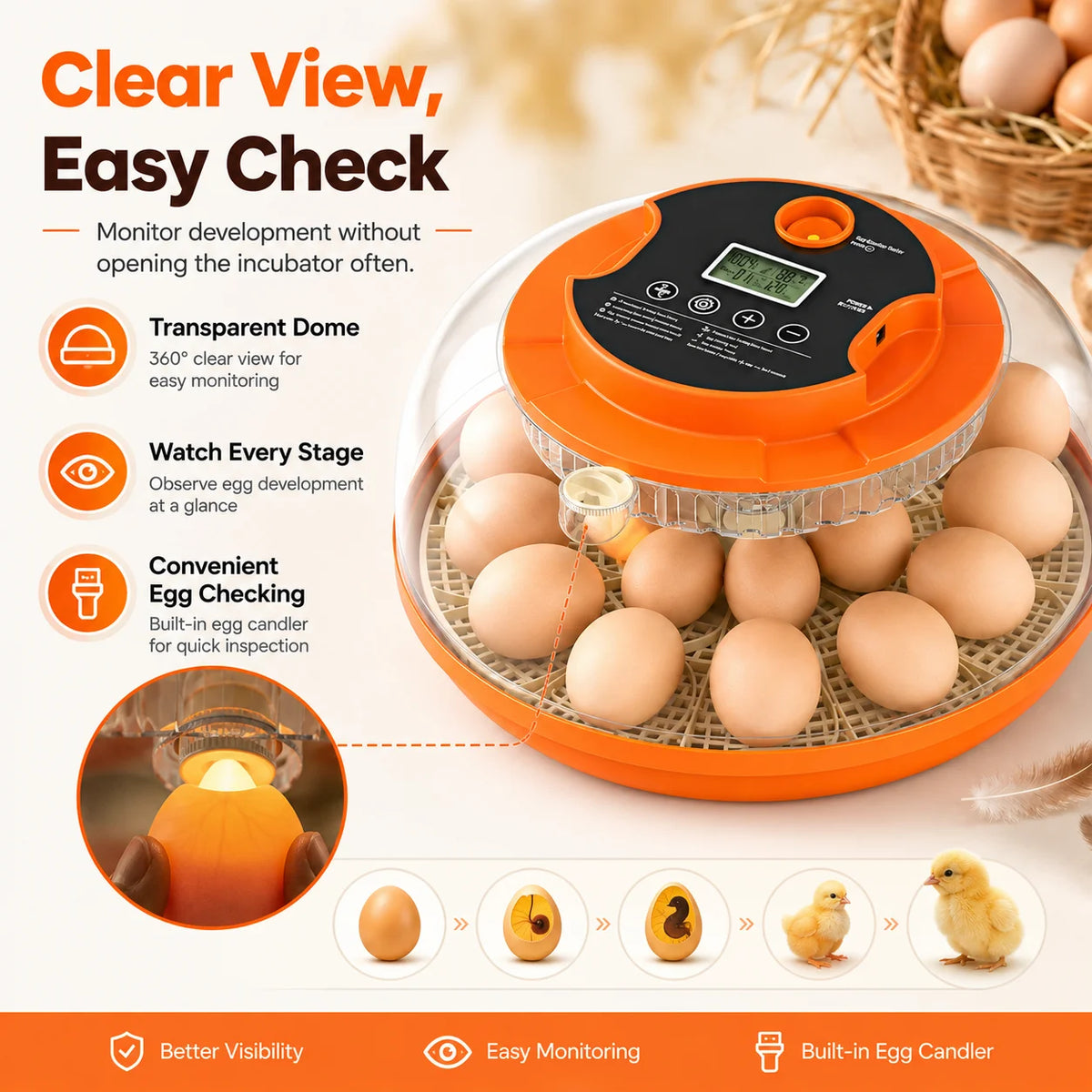 Home Hobbyist Egg Incubator