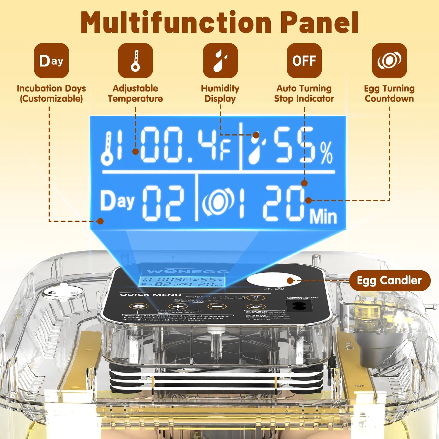Egg Incubator
