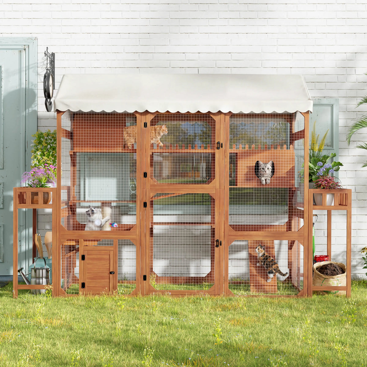 Large Outdoor Cat Enclosure Wooden