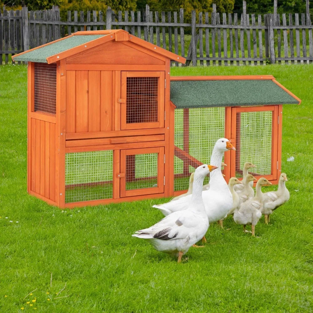 Wooden Chicken Coop