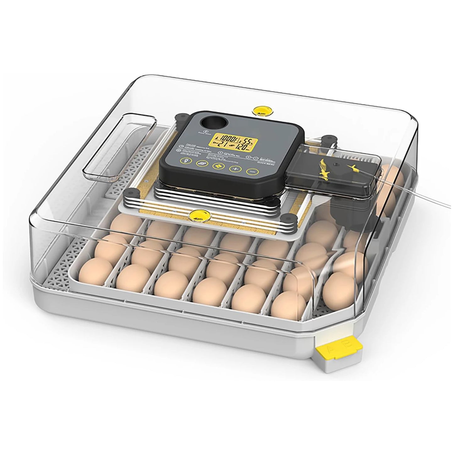 48 Egg Incubator