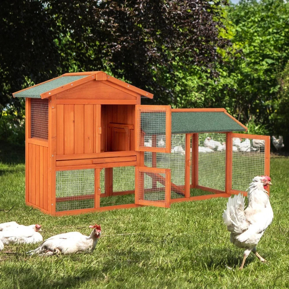 Wooden Chicken Coop