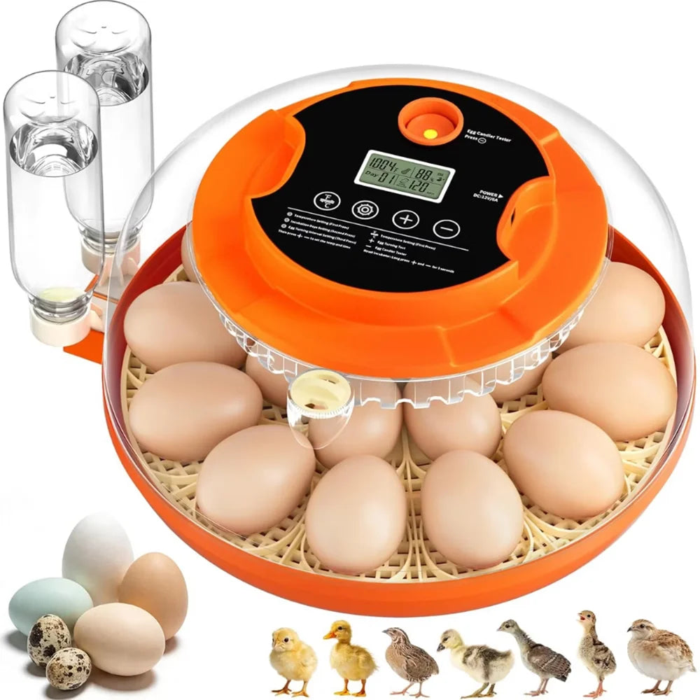 Home Hobbyist Egg Incubator