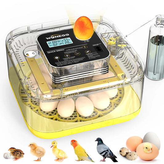 Egg Incubator