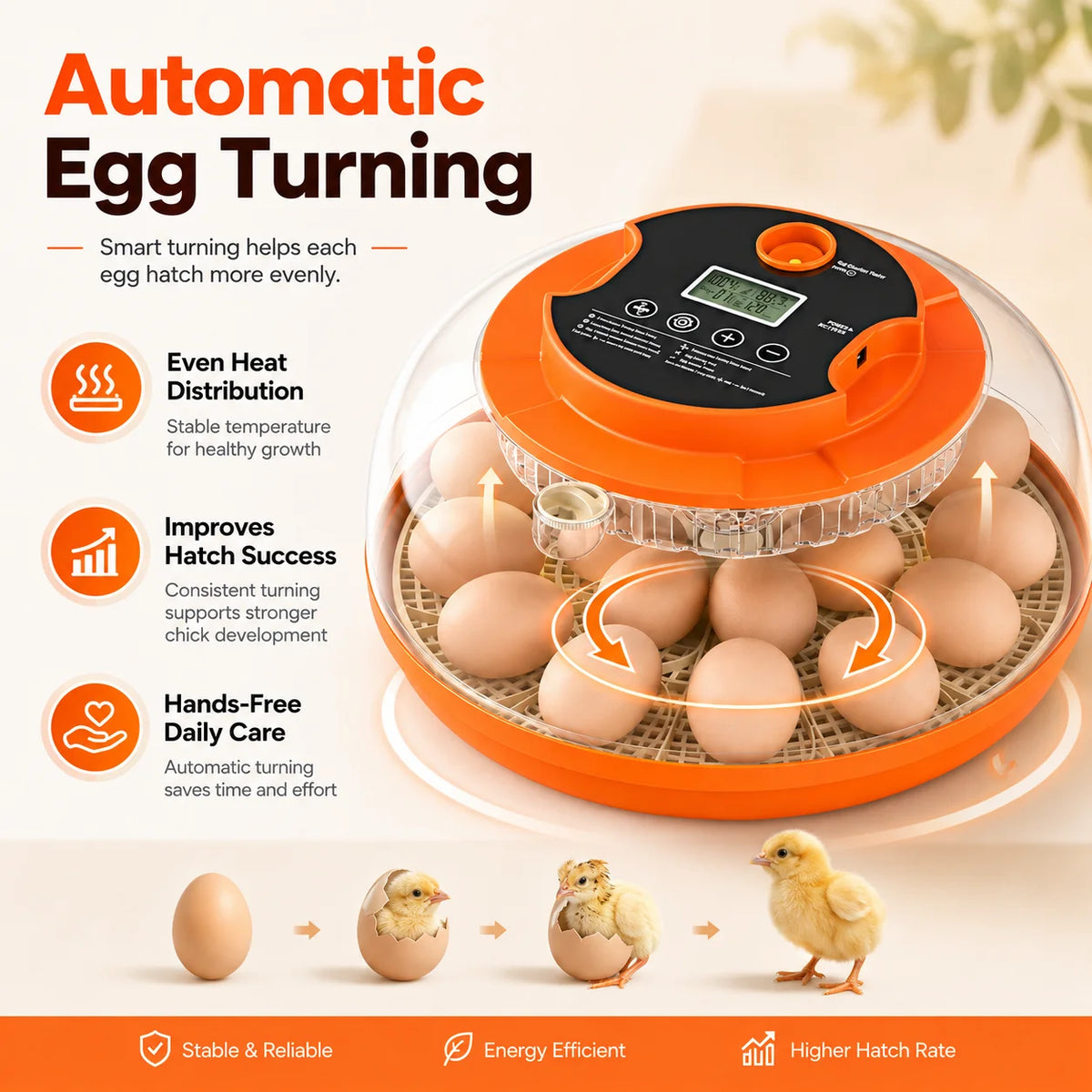 Home Hobbyist Egg Incubator