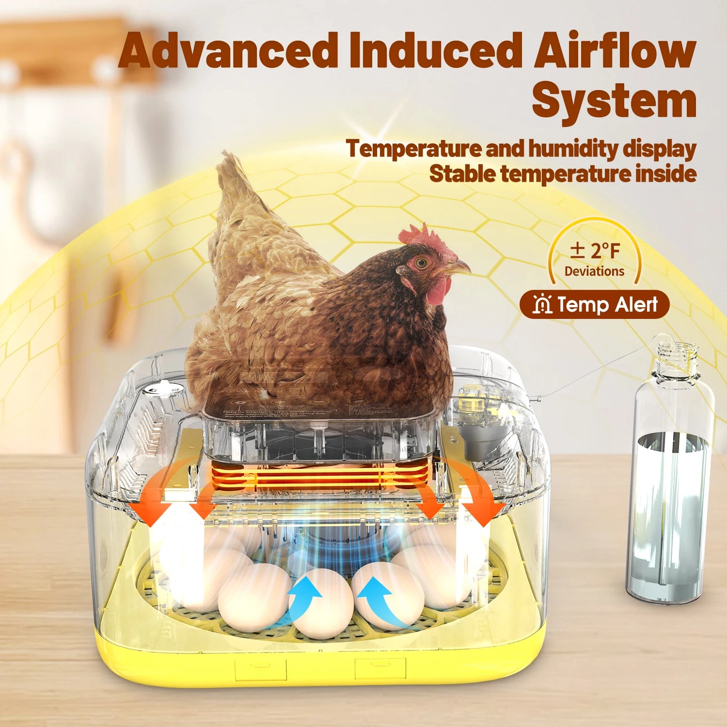 Egg Incubator