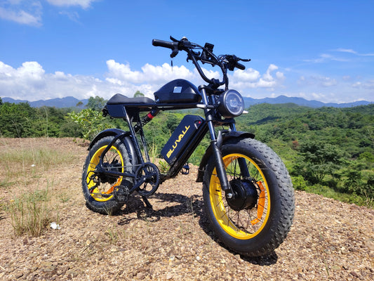 2000W Dual-Motor Electric Bike 52V 46AH Removable Battery