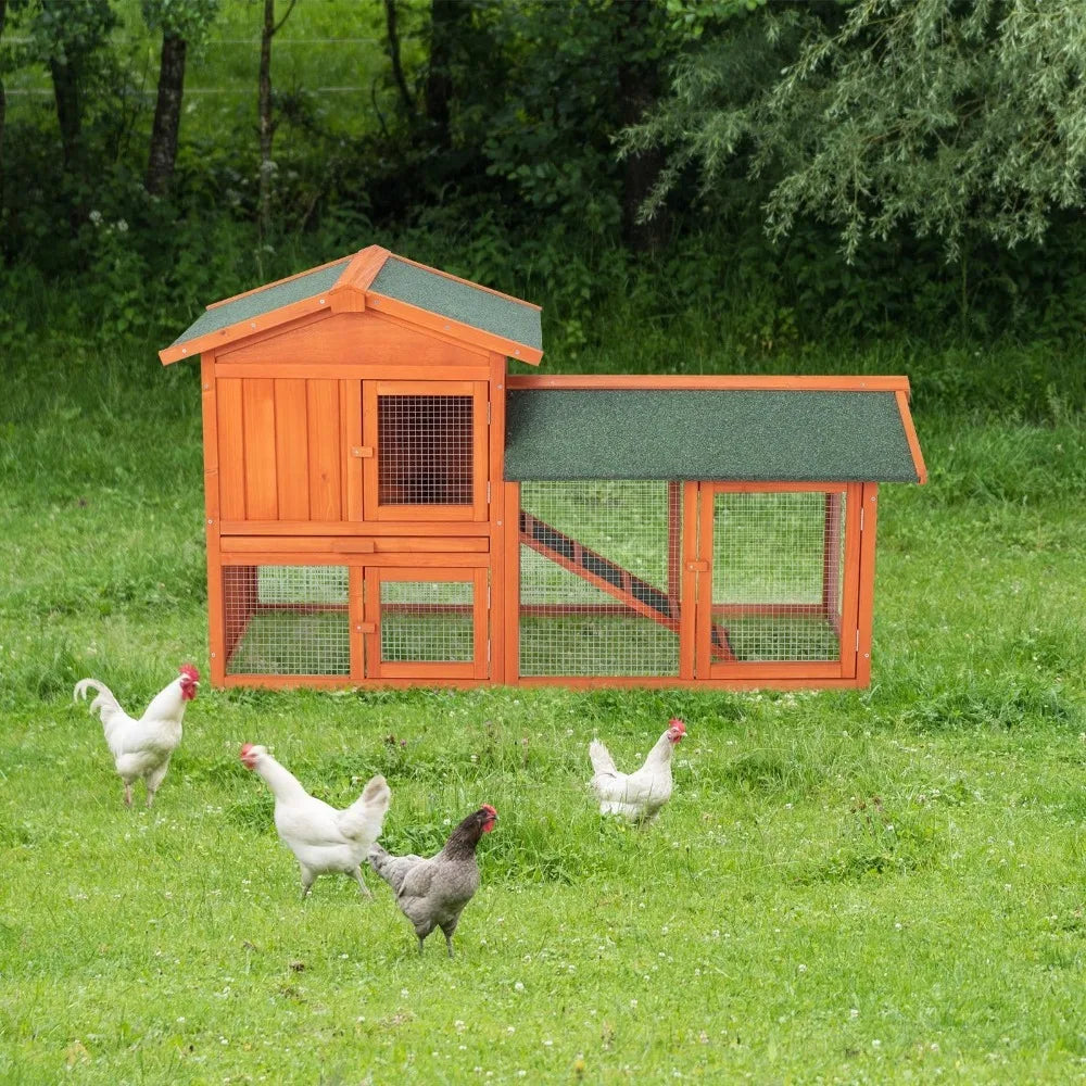Wooden Chicken Coop