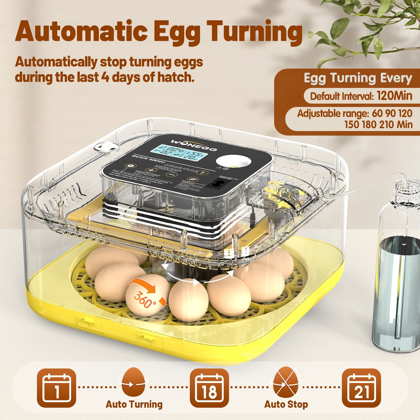 Egg Incubator