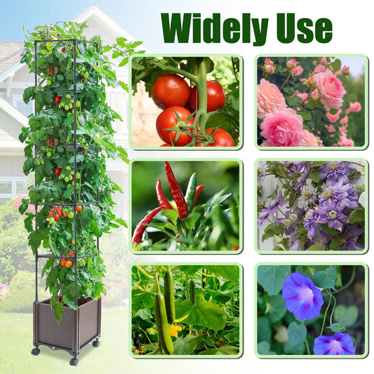 Tomato Planter With Trellis