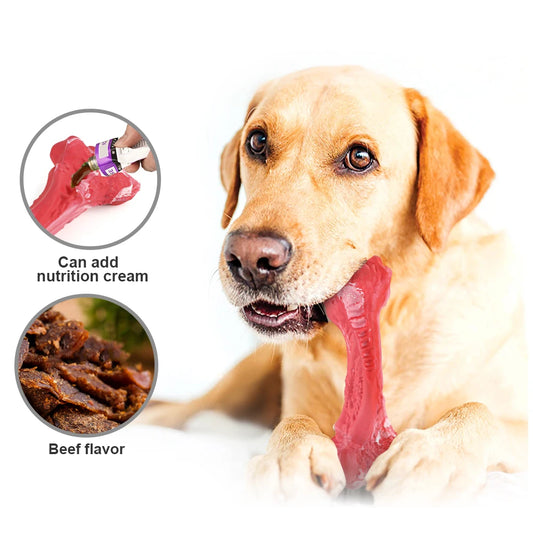 Dog Bone Chew Toy