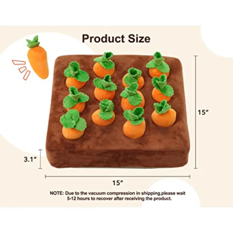 Squeak Carrot Snuffle Mat for Dogs